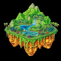 Island logo - Similar company to Brave Labs