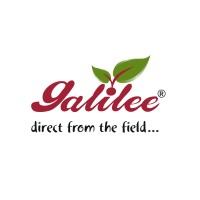 Galilee Export logo - Similar company to Fruitpro B.V.