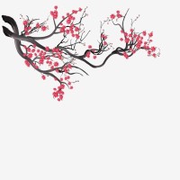 Sakura Ventures Co. logo - Similar company to Sakura Ventures