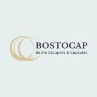BOSTOCAP logo - Similar company to Salestier