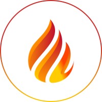 Ignite Online Solution logo - Similar company to Techdeger