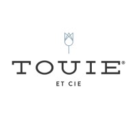 Touie Inc logo - Similar company to Amorphous Studio