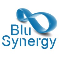 BluSynergy logo - Similar company to C&T Consulting