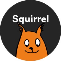 Squirrel Internet Ltd logo - Similar company to Celtic Timber