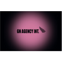GN Agency Int. logo - Similar company to Strategica-Mente Marketingsolution