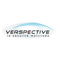 VERSPECTIVE logo - Similar company to Vedis