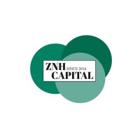 ZNH Capital Ltd. logo - Similar company to Meritrust Financial Group Inc.