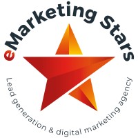 eMarketing Stars logo - Similar company to Datamatrix Reports
