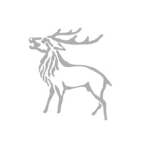 Bolur Capital Partners logo - Similar company to Loopx