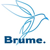 Brume Consultancy Holdings Limited logo - Similar company to Web3Fx