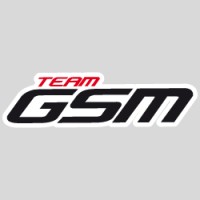 Team GSM logo - Similar company to Swaps
