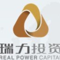 Real Power Capital logo - Similar company to Wellacre Global Wealth Advisors