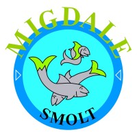 Migdale Smolt Ltd logo - Similar company to Dp&L Group