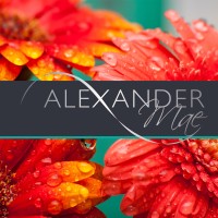 Alexander Mae Recruitment logo - Similar company to Element Recruitment Uk