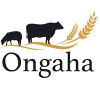 Ongaha logo - Similar company to Perpetro Software