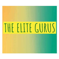 The Elite Gurus logo - Similar company to Fuddins.Com