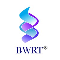 BWRT DK logo - Similar company to Brainworking® Recursive Therapy Sa