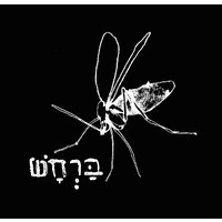 Gnat Micropress // ברחש הוצאה לאור logo - Similar company to א.ג.נ בע״מ הוצאה לאור לוחות שנה הגדות של פסח דפוס דיגיטלי