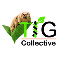 TIG Collective logo - Similar company to Evrloop