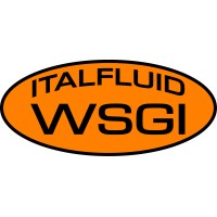 Well Services Group Italfluid Srl logo - Similar company to Hydrawell