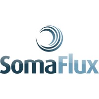 SomaFlux logo - Similar company to Datec Solution