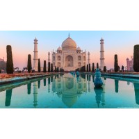 True Logics logo - Similar company to Elucify (Acquired By Salesintel)