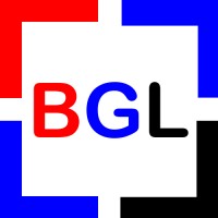 Bizgrouplink logo - Similar company to Lasoexperience