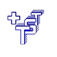 TST - Vereinigung Technischer Kader Schweizerischer Transportunternehmungen logo - Similar company to Sallis - Payrolling Partner For Freelancer, Contractor & Companies
