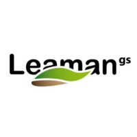 LEAMAN GESTION SOSTENIBLE SL logo - Similar company to Bical Control Termico