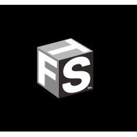 TFS Consulting Inc logo - Similar company to Paragraphai