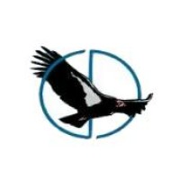 Condor Data Services