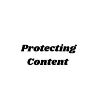 Dmca Bull logo - Similar company to Dmca.Com - World Leaders In Internet Copyright Protection Services