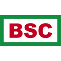 B.STABILINI & CO. LTD logo - Similar company to De-Coredata Analytics