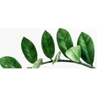 MyMicrojourney logo - Similar company to Pullscription