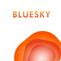 BLUESKY logo - Similar company to Laonsi