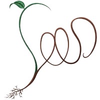 Stimulating Education & Ecological Design