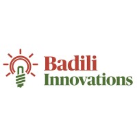 Badili Innovations logo - Similar company to Cyber Trace Limited