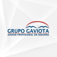 Grupo Gaviota logo - Similar company to Frezwid