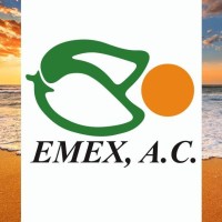 Emex, A,C, logo - Similar company to Interonic Communications Private Limited