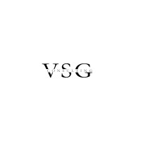 VSG Consulting srl logo - Similar company to Vsg Consulting Ltd