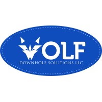 Wolf Downhole Solutions, LLC logo - Similar company to Well Solutions Llc