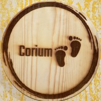 Corium Bangladesh logo - Similar company to Vvon Technologies Limited