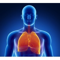 GreenLine Respiratory Protection logo - Similar company to Beyond Execution Pty Ltd