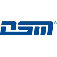 DSM Messtechnik GmbH logo - Similar company to Cnc-Syn