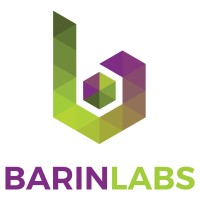 Barinlabs logo - Similar company to Solvedout