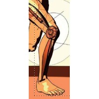 SURGITECH logo - Similar company to Surgitech, Inc.