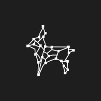 AntiCAD logo - Similar company to Nested Technologies