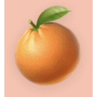 NARANJA EVENTOS logo - Similar company to Ofibreak Eventos