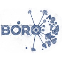BORO Solutions Limited