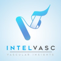 IntelVasc Inc logo - Similar company to Dotspace Inc.